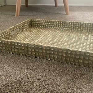 Abalone shell decorative tray